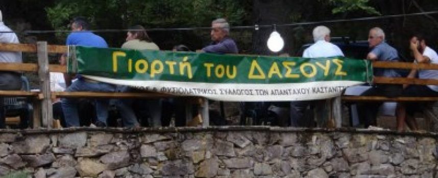 Γιορτή του Δάσους στην Καστάνιτσα