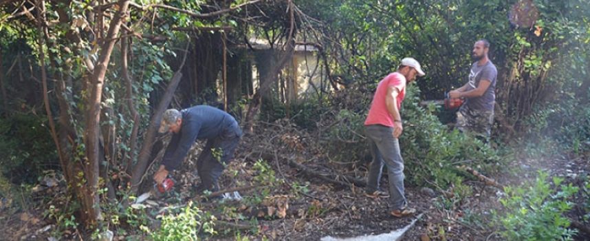 Καθαρισμός οικοπέδων από το Δήμο Τρίπολης με εισαγγελική εντολή