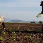 Aλλάζει ο ΕΛΓΑ: Στο 100% οι αποζημιώσεις των αγροτών με πλαφόν έως 200.000 ευρώ