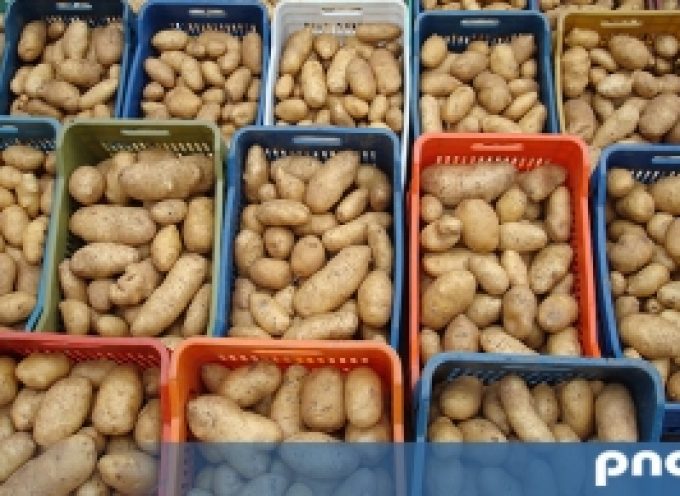 Ειδική Ενίσχυση στους καλλιεργητές της πατάτας