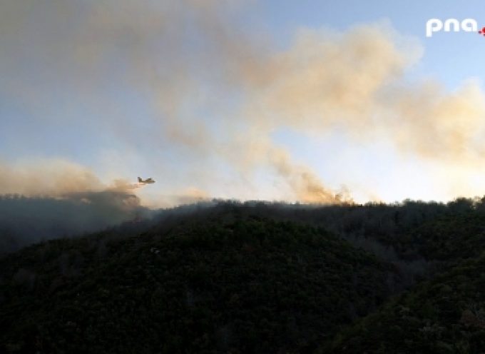 Πυρκαγιά σε δασική έκταση στην περιοχή Ντόμπριτσα Μαινάλου, του δήμου Μεγαλόπολης
