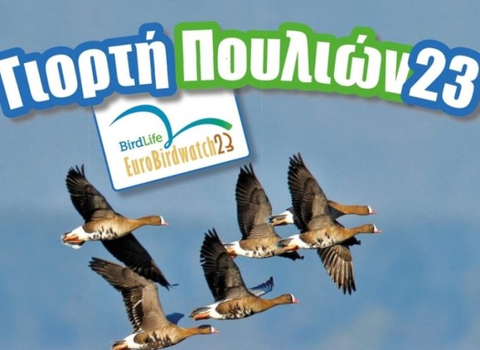 Φθινοπωρινή μετανάστευση των πουλιών στη λιμνοθάλασσα Μουστού